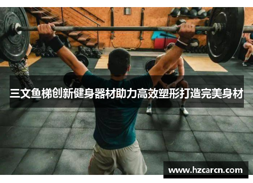 三文鱼梯创新健身器材助力高效塑形打造完美身材